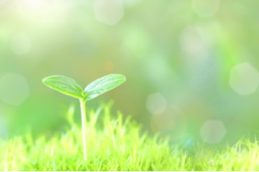 改善が継続する５つのポイント